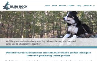 blue rock dog training