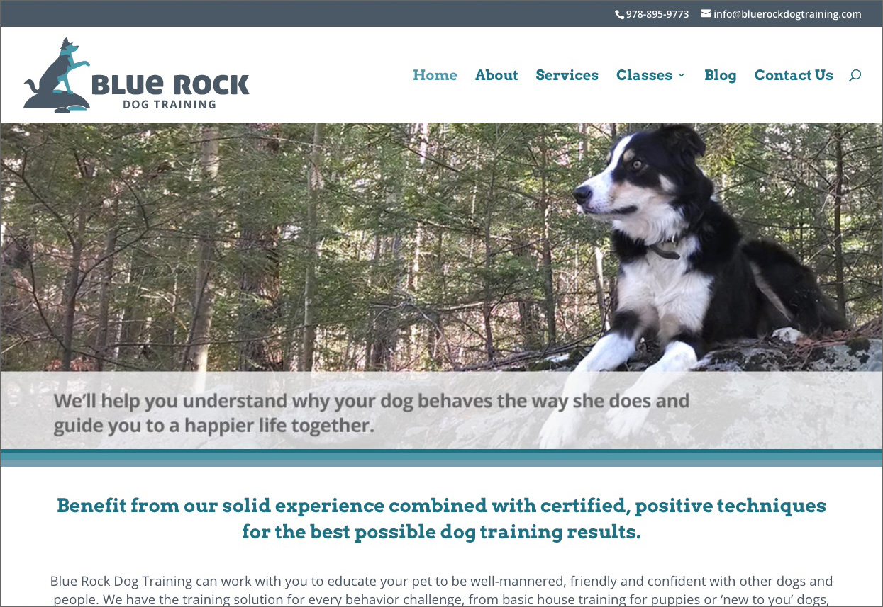 blue rock dog training