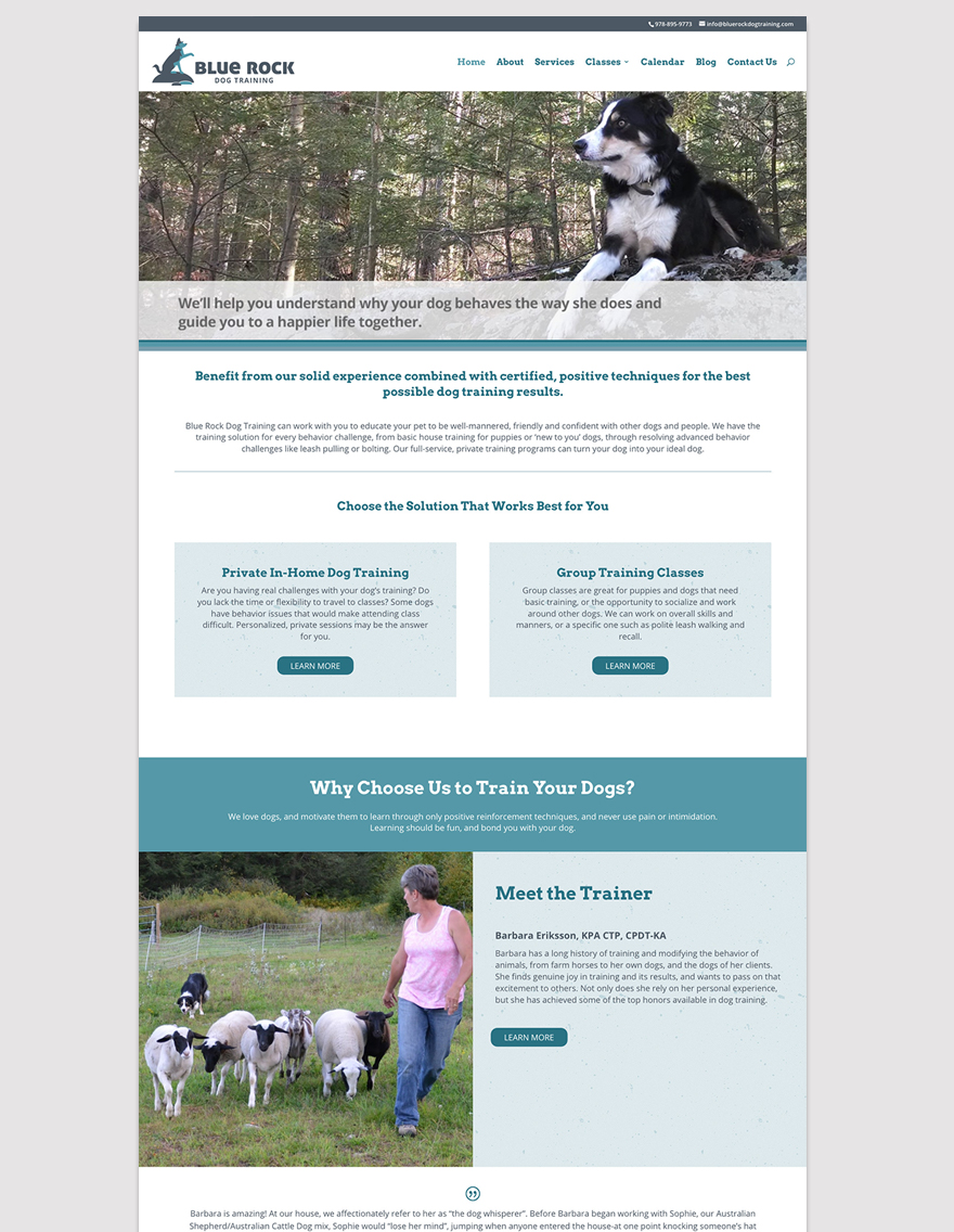 Blue Rock Dog Training homepage