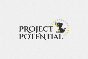 project potential logo